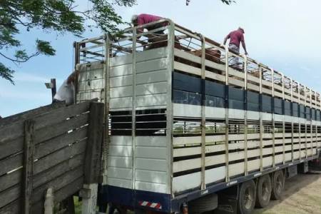 Por un proyecto de la oposición, Río Cuarto eliminó las tasas por guías de hacienda