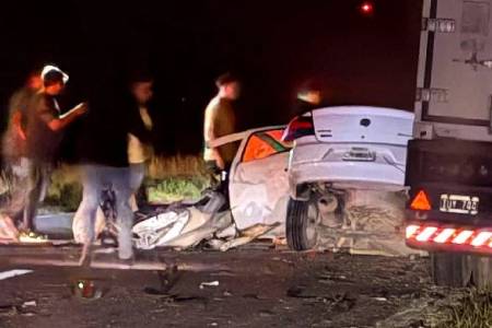 Fatal: atropelló dos carpinchos y se mató contra un camión en Ruta 3