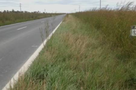 “Al mejor postor”: un municipio bonaerense licita la siembra de banquinas y busca generar fondos