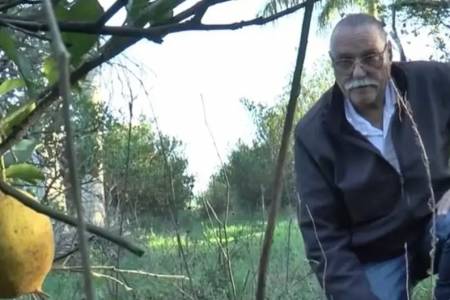 Un productor citrícola pidió un tractor a China y reavivó el debate: "Allá vale 11.200 dólares y acá 50.000"