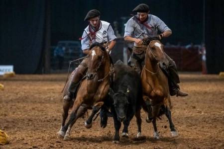Los suarenses Venancio Bravo y Feliciano Bravo Subcampeones de Paleteadas Camperas en Palermo