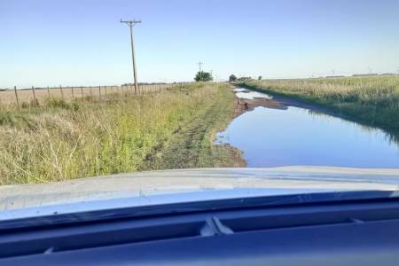 Fallo histórico: ordenan al municipio de Daireaux devolver plata a los productores por el cobro de una tasa