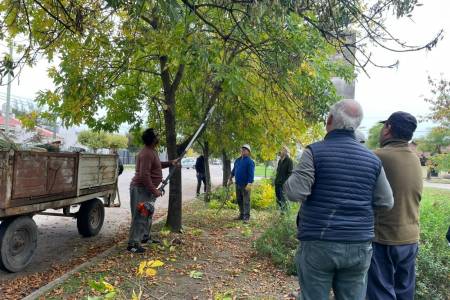 Cuidemos nuestro arbolado público: más de 150 podadores se capacitan en Coronel Suárez