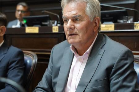 Héctor Gay: reforma constitucional: "con una sola camára se puede legislar perfectamente..."