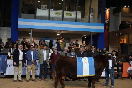 Angus: la exposición de Otoño ya tiene más de 1000 reproductores preinscriptos