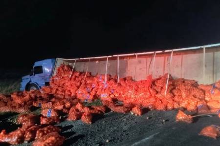 Camión cargado con cebolla volcó sobre la Ruta 33 cerca de Espartillar