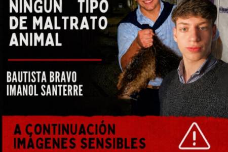 Baja el consumo de carne vacuna “Se está notando la compra de la comida en cuotas, antes no se veía”