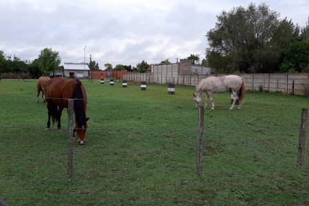 Equino terapia De Corazón celebra la amistad “De blanco” 