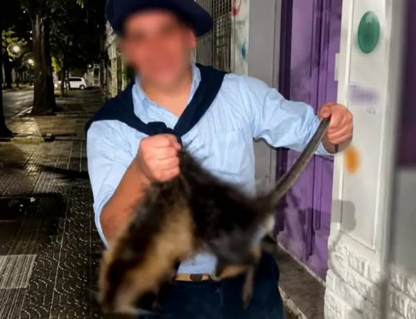 Maltrato animal: el Colegio de Veterinarios bonaerense pide sanciones penales contra los matanutrias