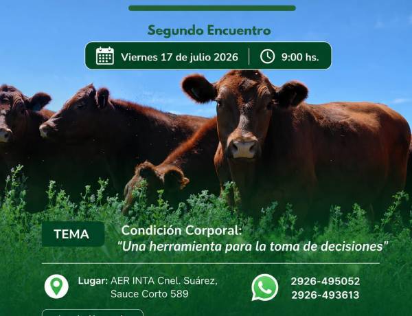 Curso de Producción Ganadera I
