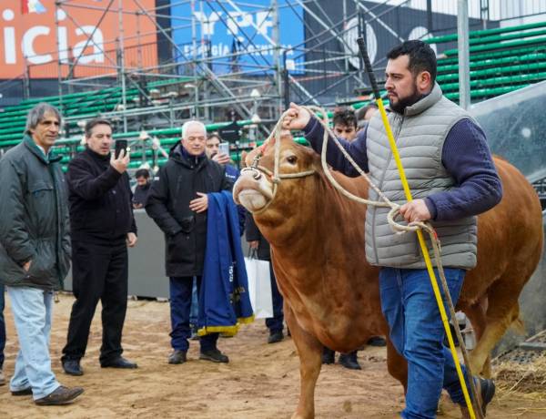 Llegaron Tim Payne, Tini Tini y De Paul a la Expo Rural 26