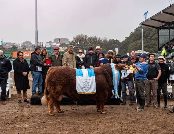 Hizo historia en Palermo: Limangus logró el “1-2” en la prueba que mide la mejor calidad de carne