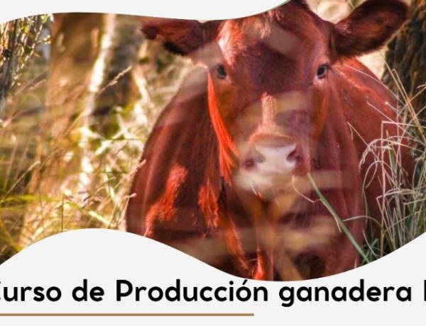Curso de Producción Ganadera II