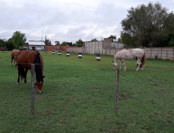 Equinoterapia De Corazón celebra la amistad “De blanco” 