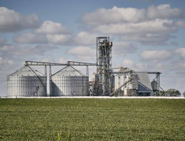 “Continúa elevado”: el Estado se lleva con impuestos el 61,9 por ciento de lo que genera una hectárea agrícola