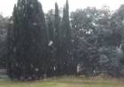 Nieve en las Sierras, sector "El Mirador"