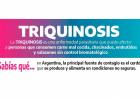 ¿Sabías que consumir carne mal cocida puede ponerte en riesgo de contraer triquinosis?