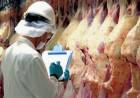 Carne: cepo light a exportaciones, Plan Ganadero y tres cortes 45% más baratos