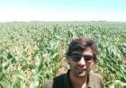 Ingeniero Esteban Pero: “invito a los productores a que nos llamen, para compartir esta experiencia, se está viniendo mucho el maíz de segunda en la zona”
