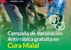 Este martes 28: Campaña de vacunación antirrábica gratuita en Cura Malal