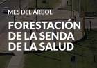 #MesDelÁrbol: Proyecto de forestación sobre la senda de la salud