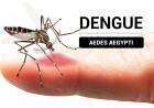 ¿Cómo se trabaja para prevenir el Dengue en Suárez? Preocupación por llegada de casos ante la "tropicalización del clima"