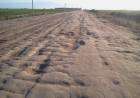 LA INTERMINABLE RUTA DEL CEREAL: FALTA EL ÚLTIMO TRAMO, PERO LA EMPRESA SE FUE CON SUS MÁQUINAS Y DESPIDIÓ TRABAJADORES