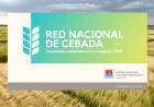 Red Nacional de Cebada - REC Campaña 2024 