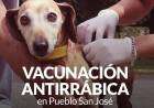 Campaña de Vacunación Antirrábica pueblo San José