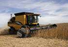 El Gobierno anunció una nueva baja de retenciones para el campo