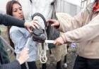 “Seres sintientes”: impulsan una nueva ley de protección y bienestar animal con prisión y millonarias multas
