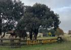 Gran inauguración en la Escuela Agropecuaria