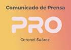 Renovación de autoridades